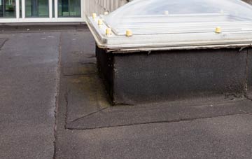disadvantages of Baldon Row flat roofs