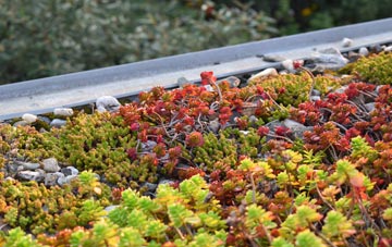 the cost of Baldon Row green roof installation