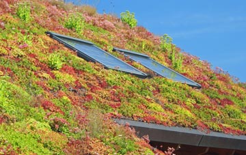 Baldon Row living roof systems